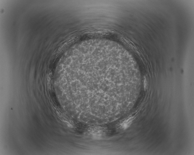 X0000081411059200702021557