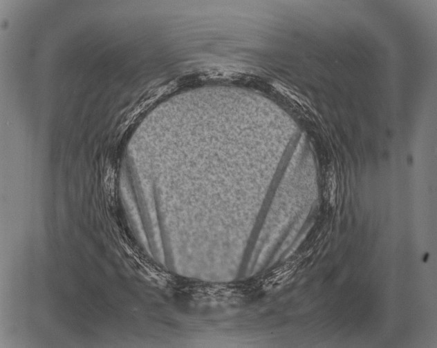 X0000081411061200702021557