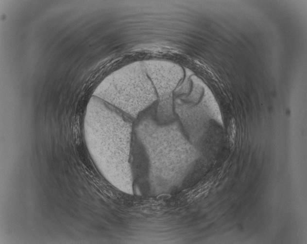X0000081411062200702021557