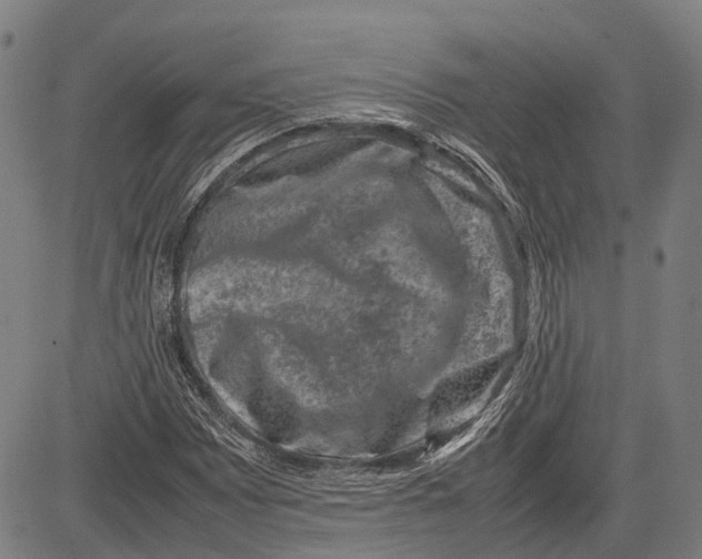 X0000081411065200702021557