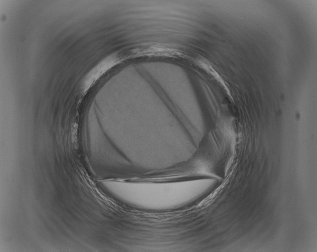 X0000081411066200702021557