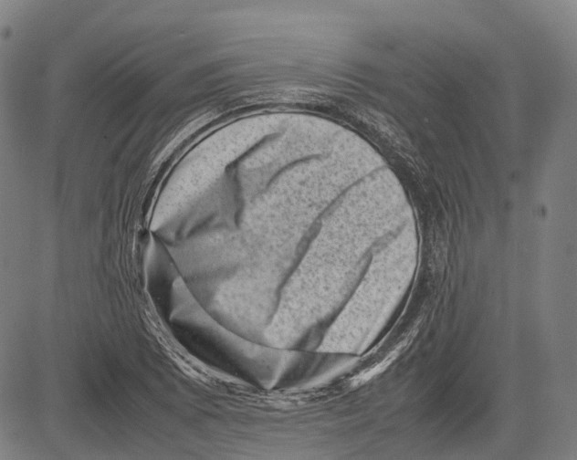 X0000081411073200702021556