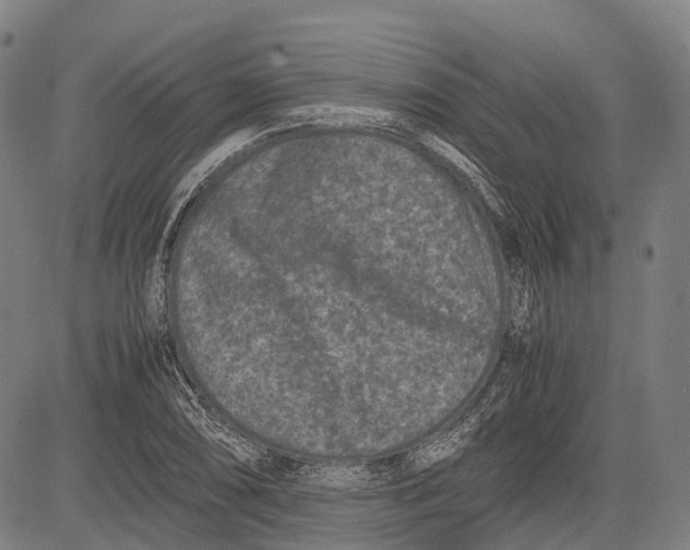 X0000081411074200702021556