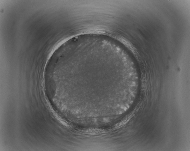 X0000081411077200702021556