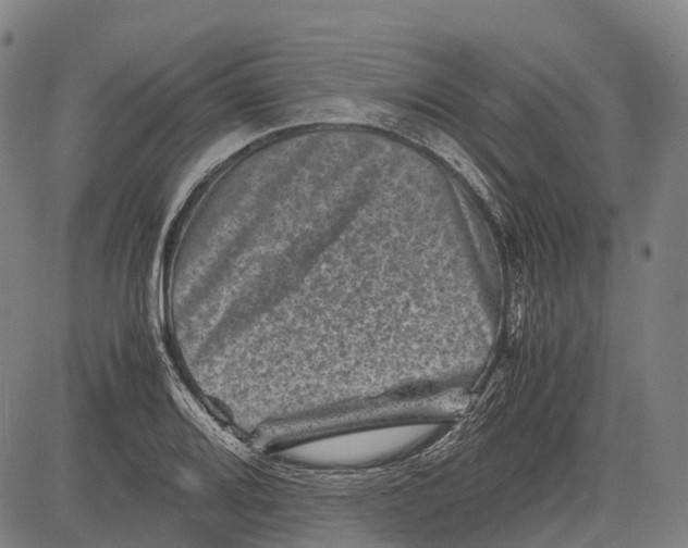 X0000081411080200702021556