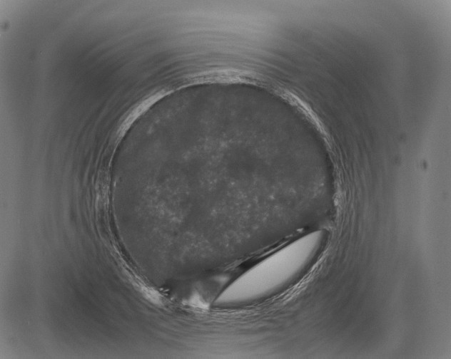 X0000081411081200702021556