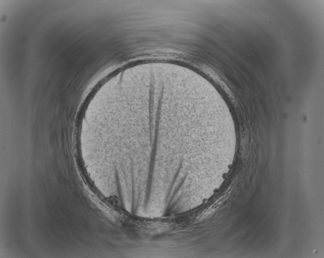 X0000081411085200702021556