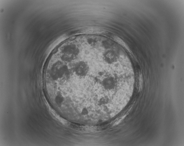 X0000081411087200702021556