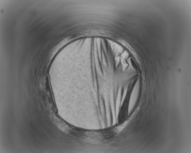X0000081411089200702021556