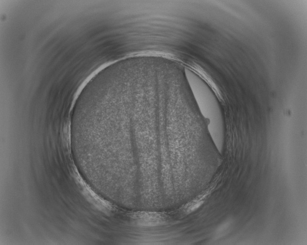 X0000081411092200702021556