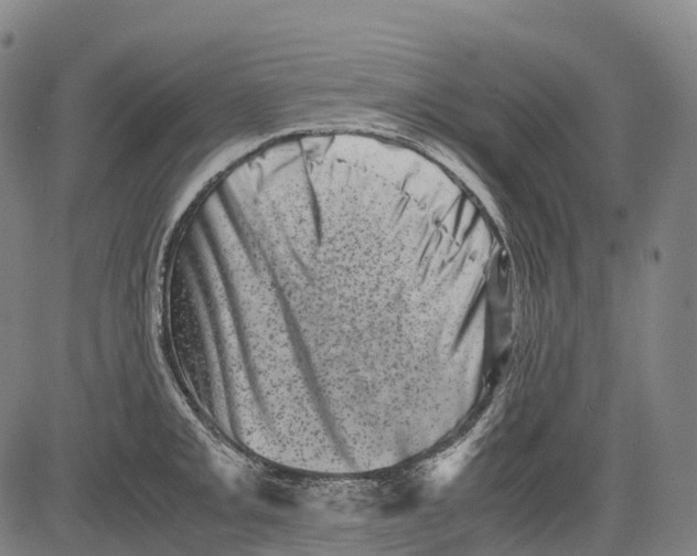 X0000081411093200702021556