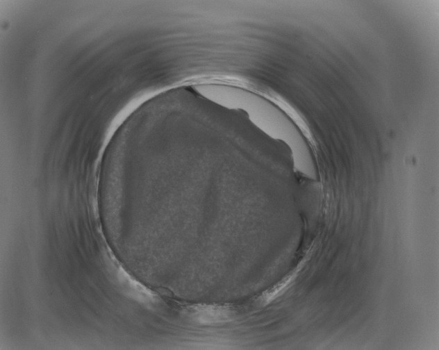 X0000081411102200702021556