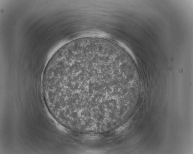X0000081411103200702021556