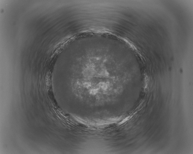 X0000081411110200702021555
