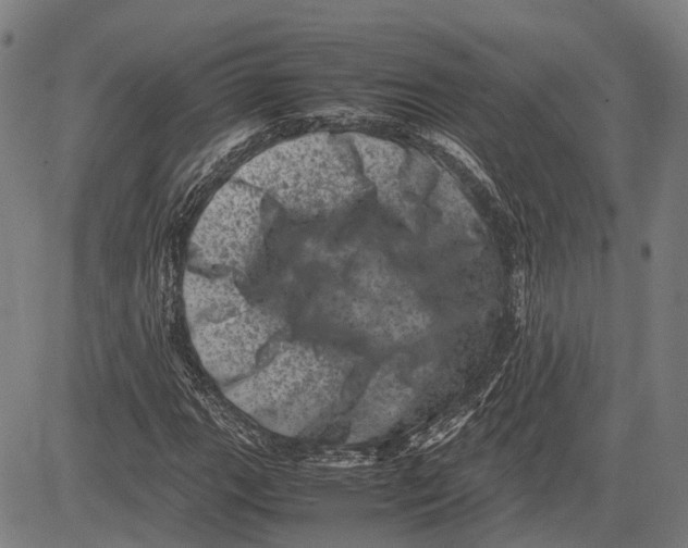 X0000081411111200702021555