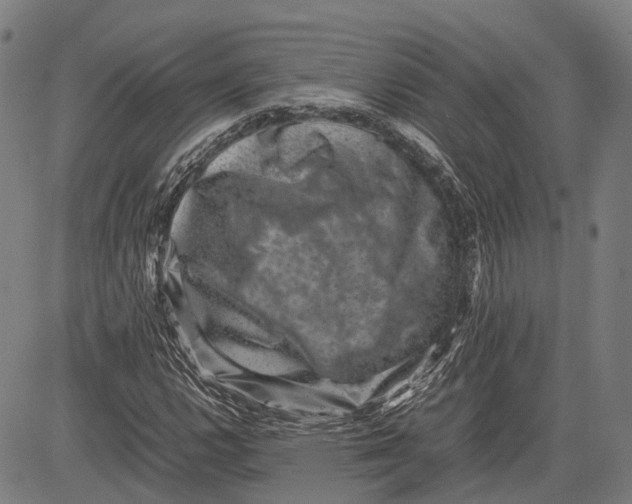 X0000081411112200702021555