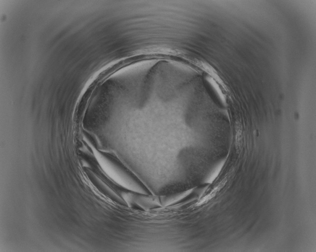 X0000081411116200702021555