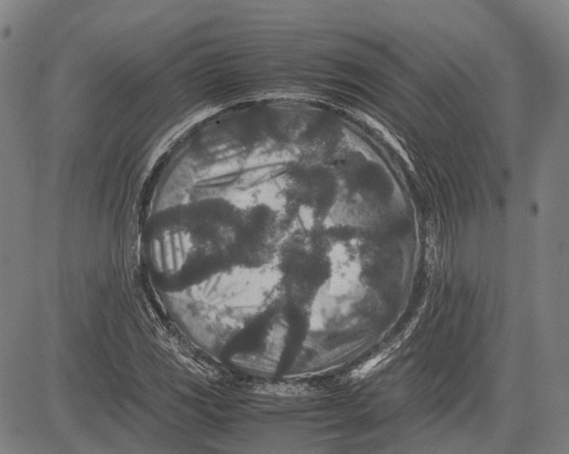 X0000081411117200702021555