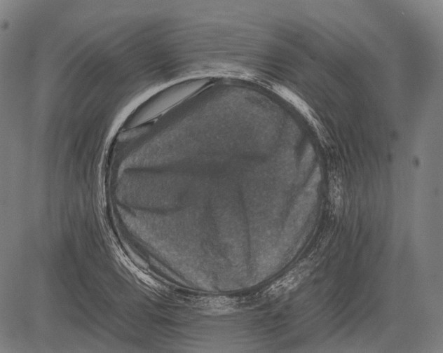 X0000081411120200702021555