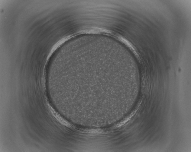 X0000081411122200702021555