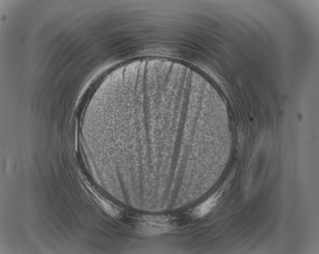 X0000081411123200702021556