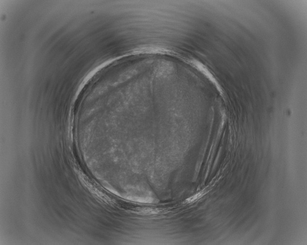 X0000081411124200702021556