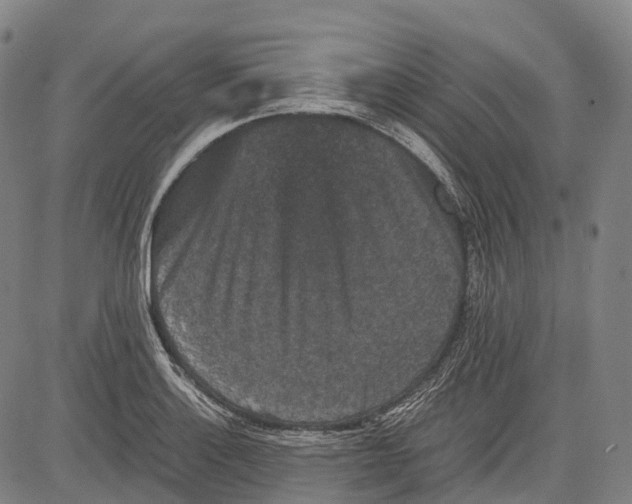 X0000081411132200702021556