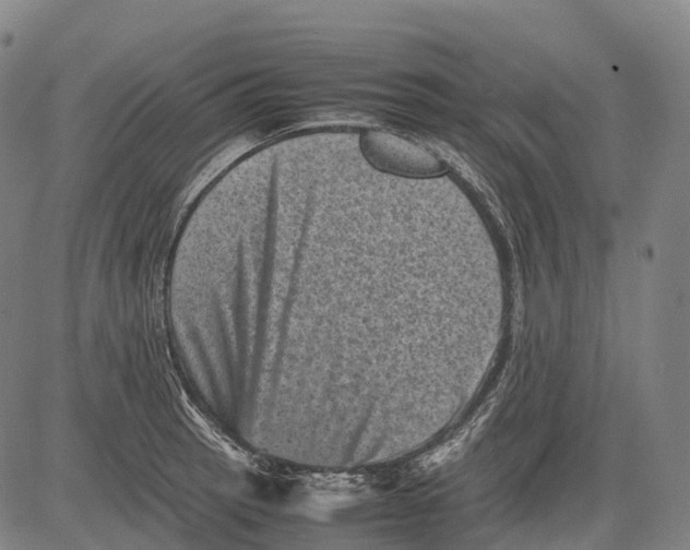 X0000081411137200702021556