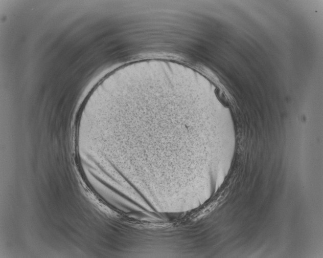 X0000081411140200702021556
