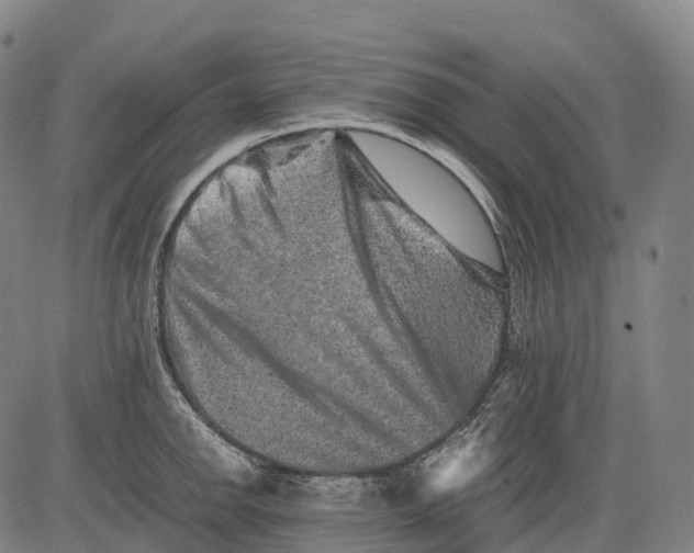 X0000081411142200702021556