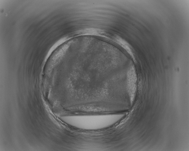 X0000081411146200702021556