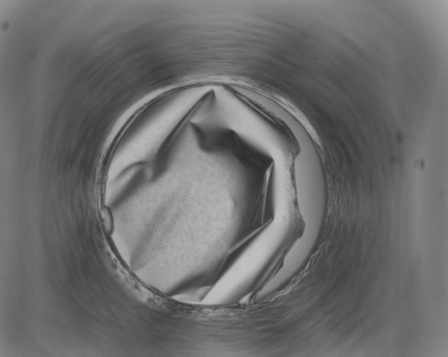 X0000081411148200702021556