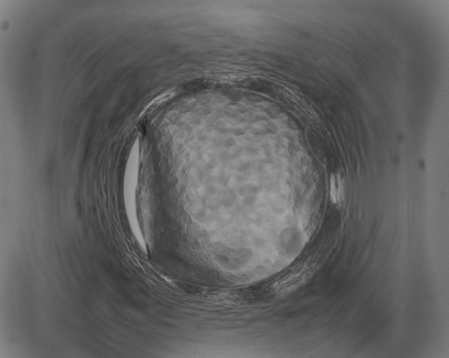 X0000081411155200702021555