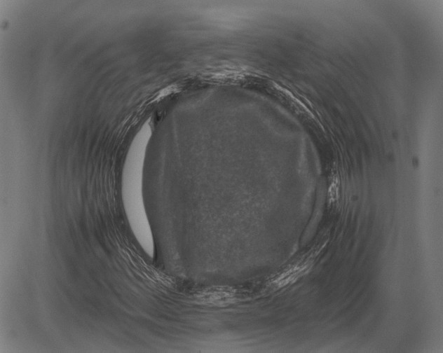 X0000081411156200702021555