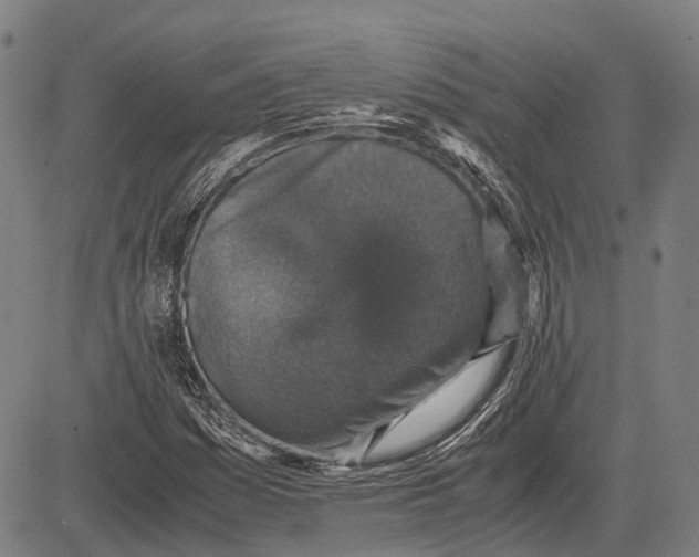 X0000081411161200702021555