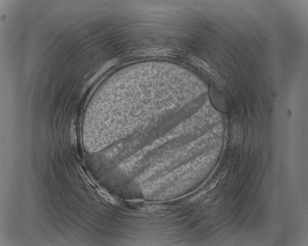 X0000081411162200702021555