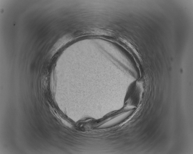 X0000081411163200702021555