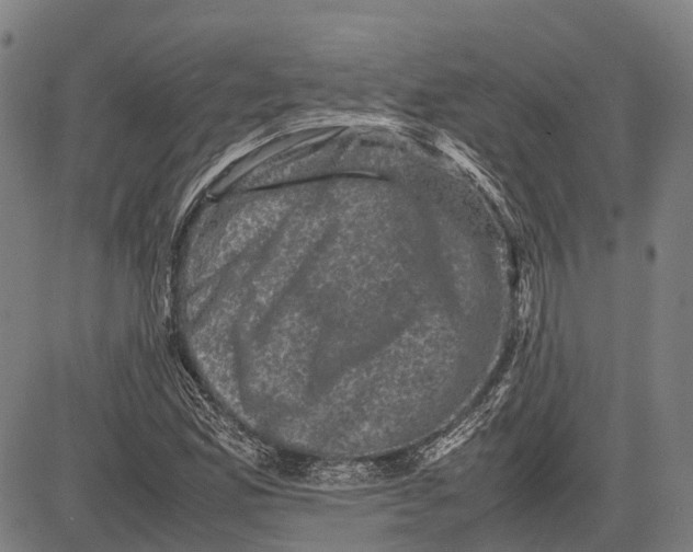 X0000081411165200702021555