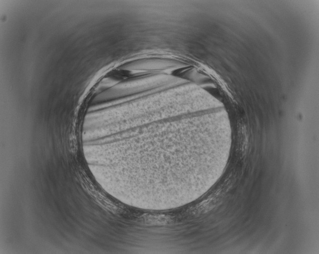 X0000081411168200702021555