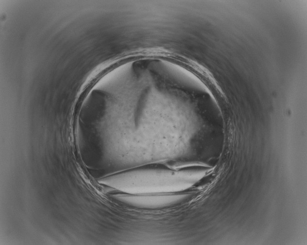 X0000081411176200702021555