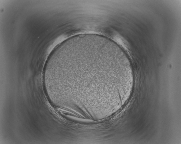 X0000081411181200702021555