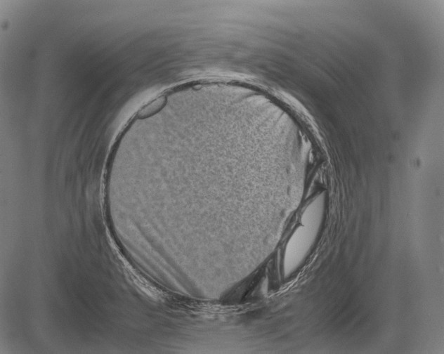 X0000081411183200702021555