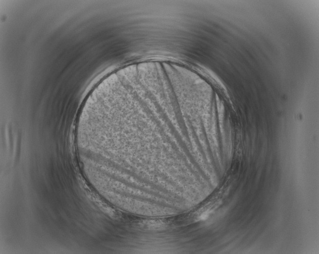 X0000081411190200702021555