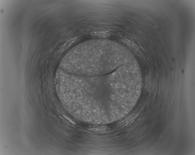 X0000081411201200702021554