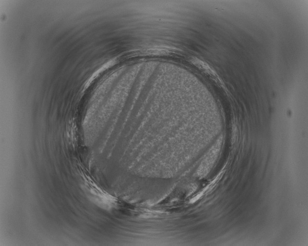 X0000081411210200702021554