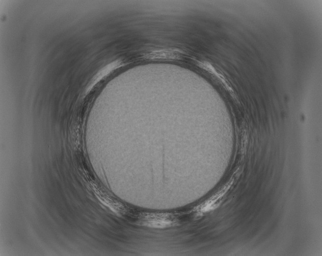 X0000081411211200702021554