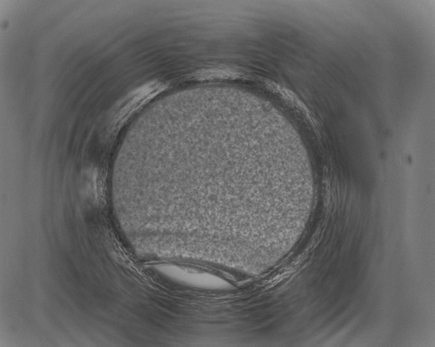 X0000081411217200702021554