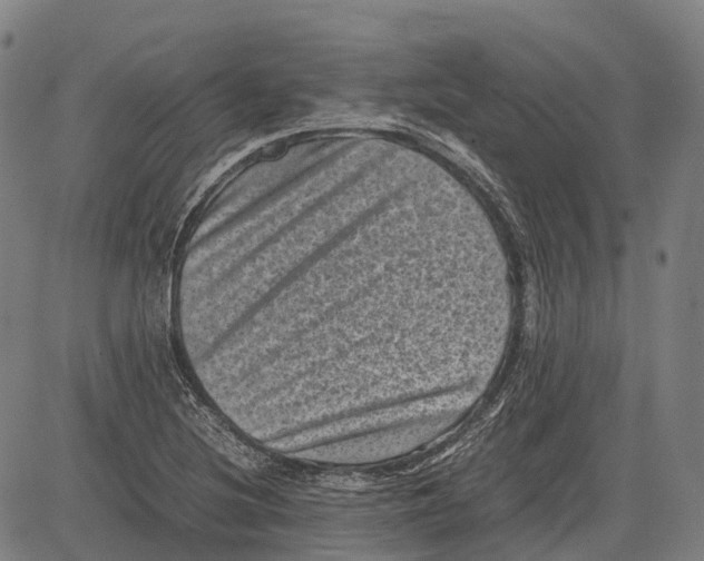 X0000081411220200702021554
