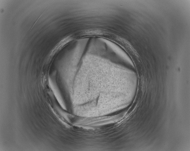 X0000081411225200702021554