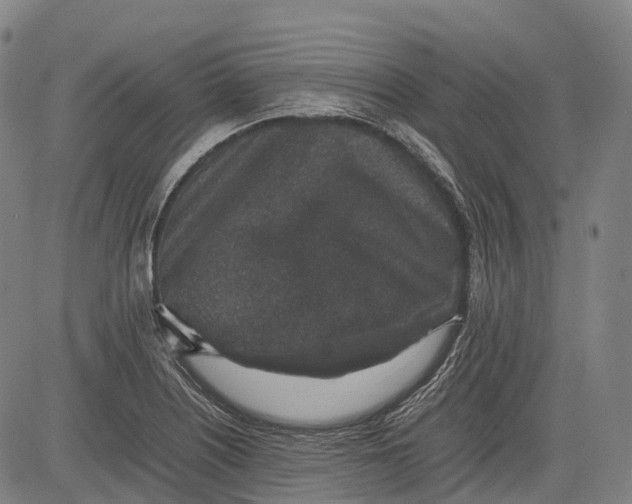 X0000081411226200702021554